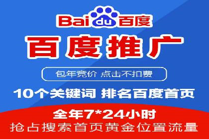 SEM投放策略：成功案例解析